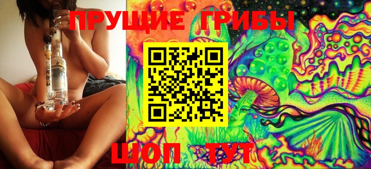 Галлюциногенные грибы Psilocybine cubensis Реутов